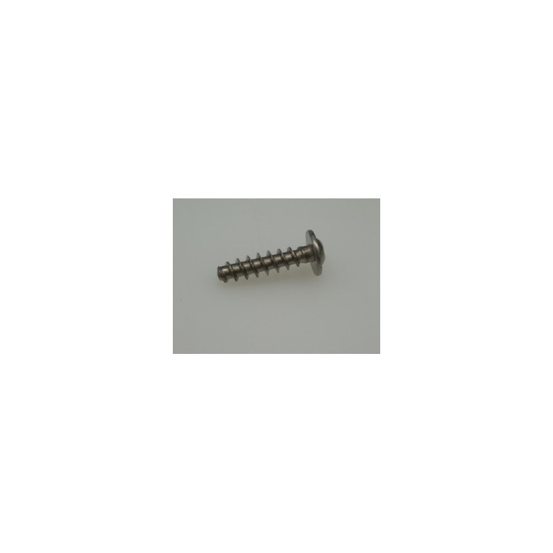 Rieber Kruiskopschroef tbv Scharnier casette M 5x16mm